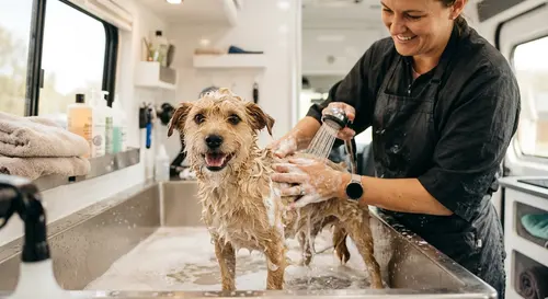 A dog being bathed at the groomer